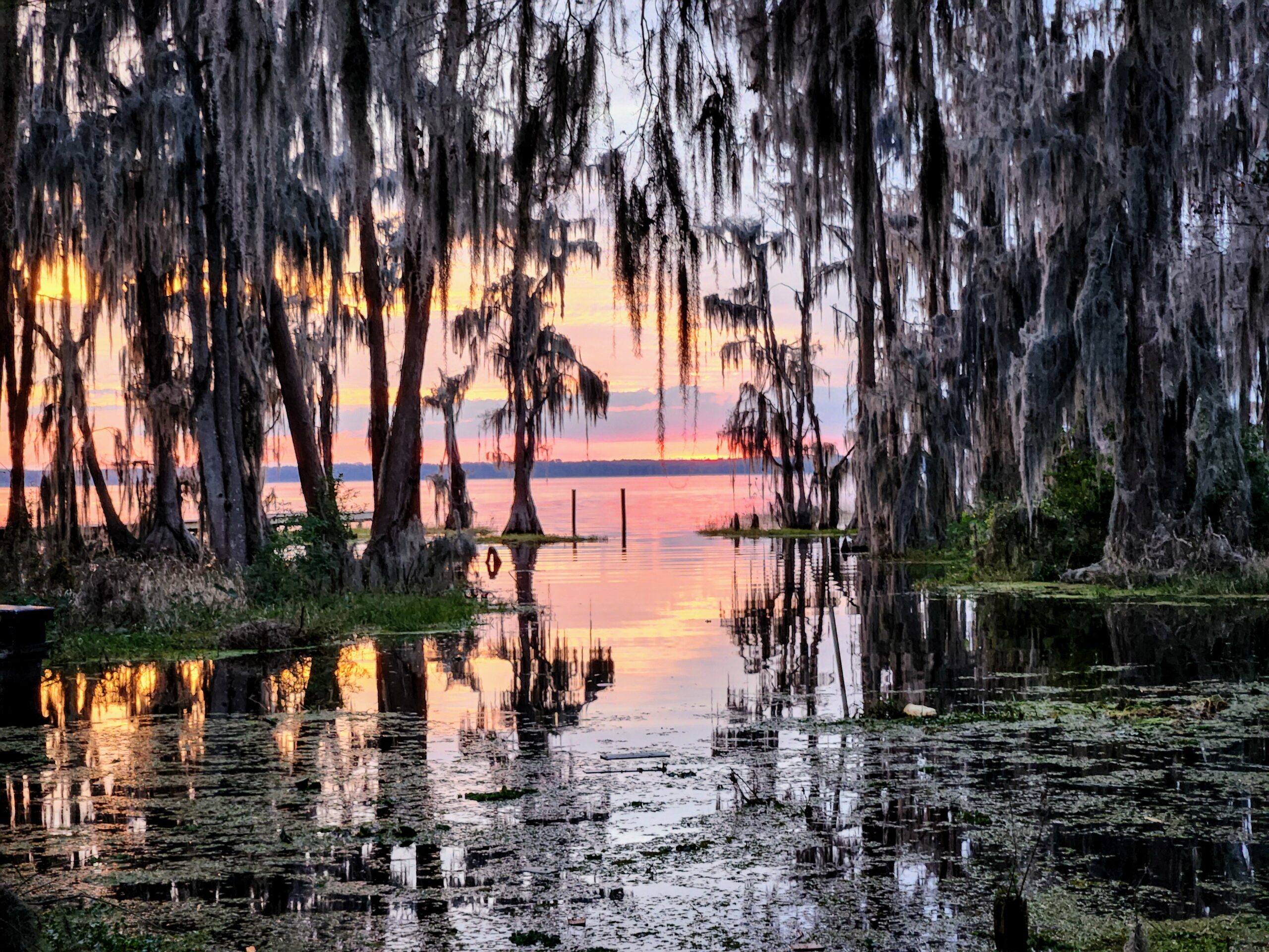 Cedar Key wetlands and wildlife area