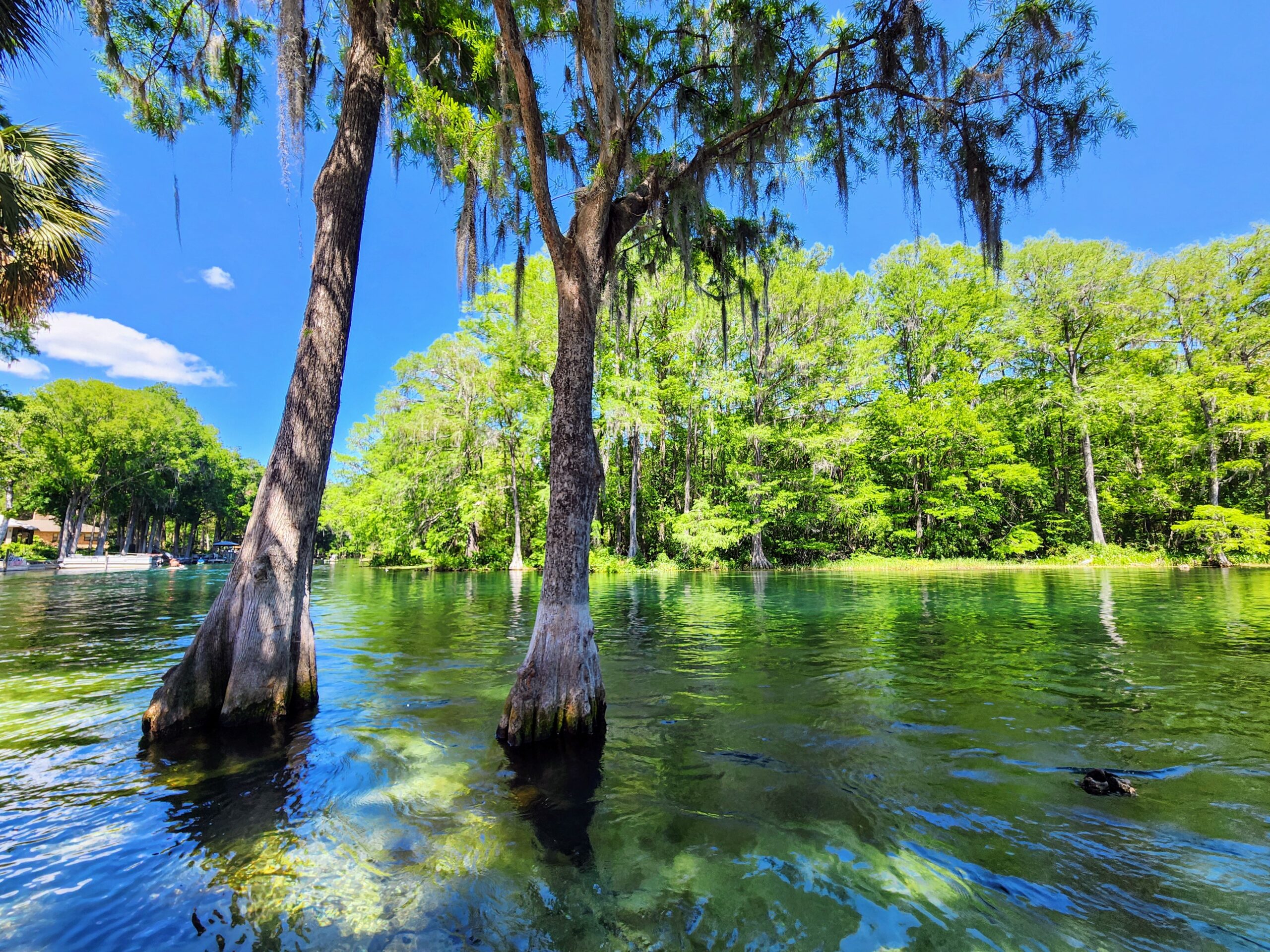Rainbow River crystal clear water Florida